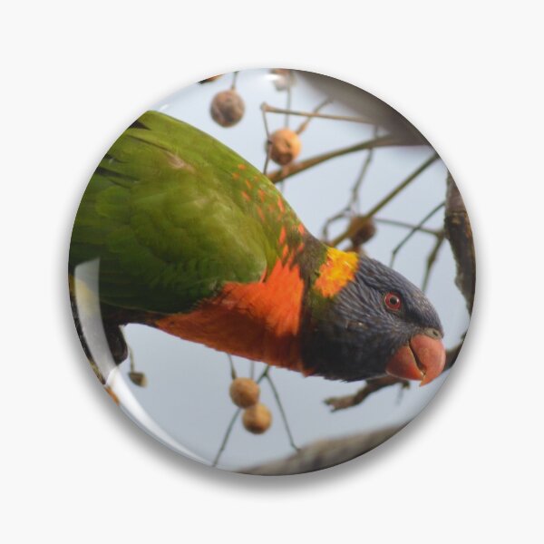 Item preview, Garden Visitor- Rainbow Lorikeet- New Zealand Birds designed and sold by lizdomett.