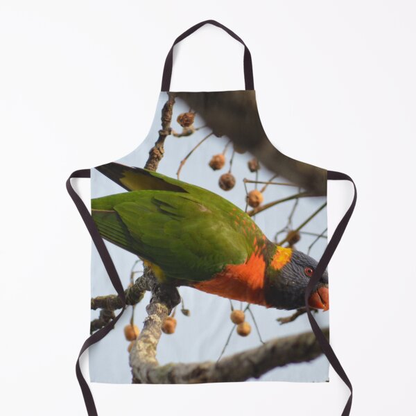 Item preview, Garden Visitor- Rainbow Lorikeet- New Zealand Birds designed and sold by lizdomett.