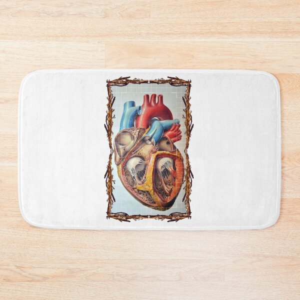 Item preview, Anatomical board Heart - Anatomical designs, human body and anatomy boards designed and sold by AdvanceDesign.