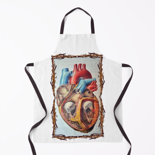 Item preview, Anatomical board Heart - Anatomical designs, human body and anatomy boards designed and sold by AdvanceDesign.
