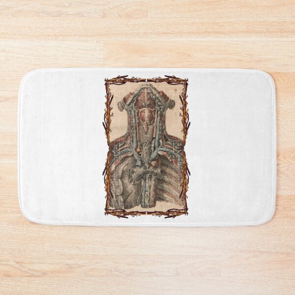 Item preview, Anatomical board Vascular and lymphatic system of the neck - Anatomical designs, human body and anatomy boards designed and sold by AdvanceDesign.