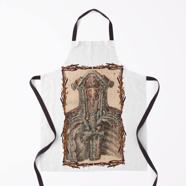 Item preview, Anatomical board Vascular and lymphatic system of the neck - Anatomical designs, human body and anatomy boards designed and sold by AdvanceDesign.