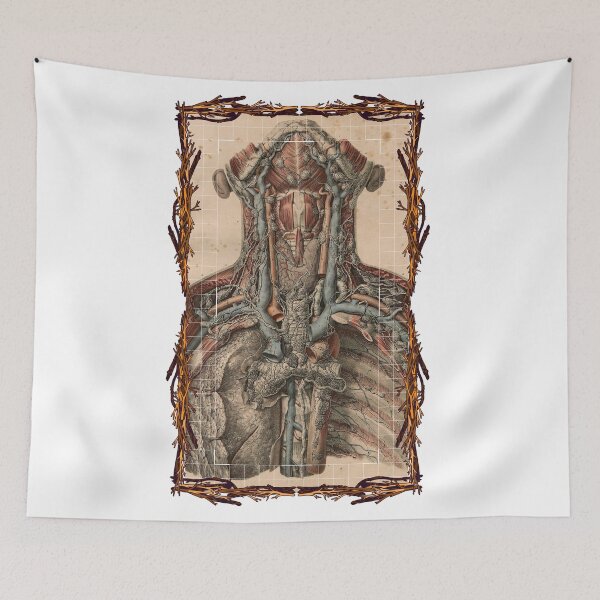 Item preview, Anatomical board Vascular and lymphatic system of the neck - Anatomical designs, human body and anatomy boards designed and sold by AdvanceDesign.