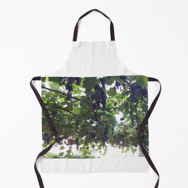 Item preview, Grapevines on a trellis in the courtyard of a Puerto Rico AirBnB designed and sold by ZCS2014.