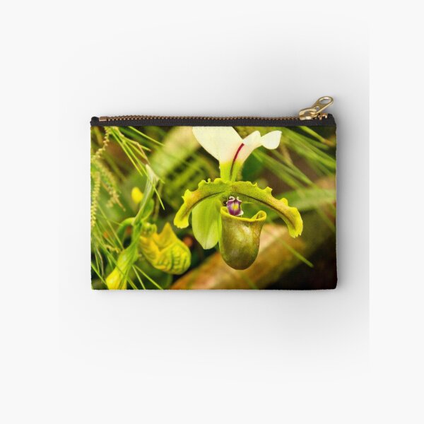 Item preview, Flower - Orchid - Paphiopedilum insigne designed and sold by Mike Savad Photography.