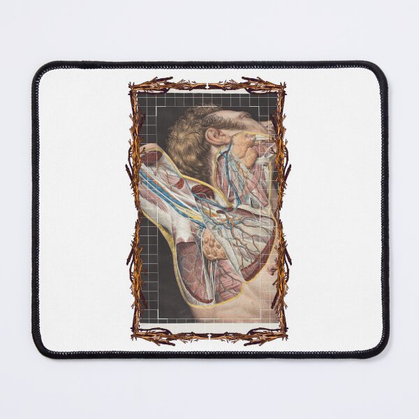 Item preview, Sistema vascular de axila con placa anatómica: diseños anatómicos, placas de anatomía y cuerpo humano designed and sold by AdvanceDesign.