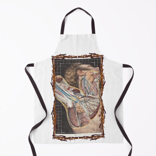 Item preview, Anatomical board Armpit vascular system - Anatomical designs, human body and anatomy boards designed and sold by AdvanceDesign.