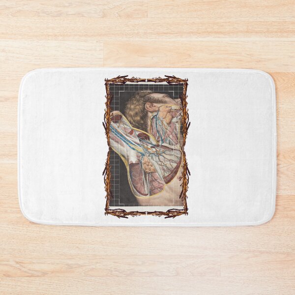Item preview, Anatomical board Armpit vascular system - Anatomical designs, human body and anatomy boards designed and sold by AdvanceDesign.