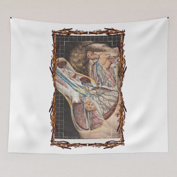 Item preview, Anatomical board Armpit vascular system - Anatomical designs, human body and anatomy boards designed and sold by AdvanceDesign.