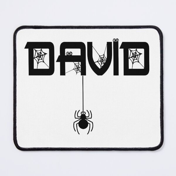 Item preview, David spider man funny web kid boy designed and sold by Thestarrysky.