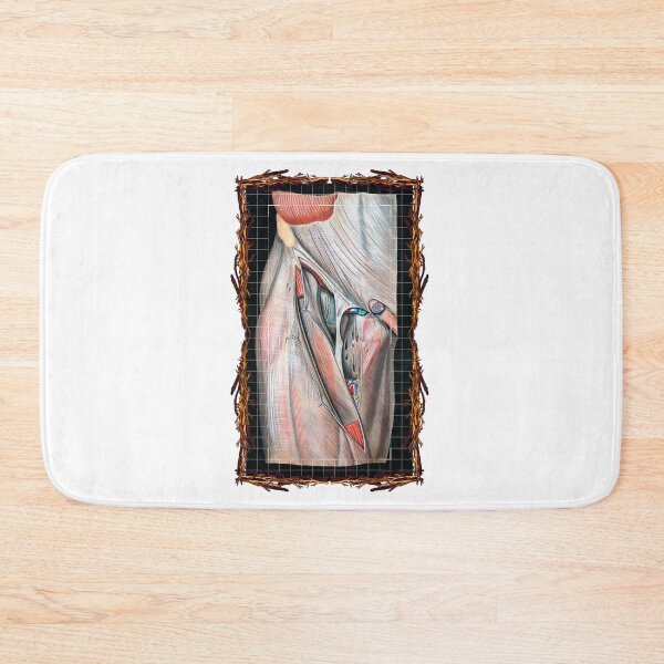 Item preview, Anatomical board Inguinal vascular system - Anatomical designs, human body and anatomy boards designed and sold by AdvanceDesign.