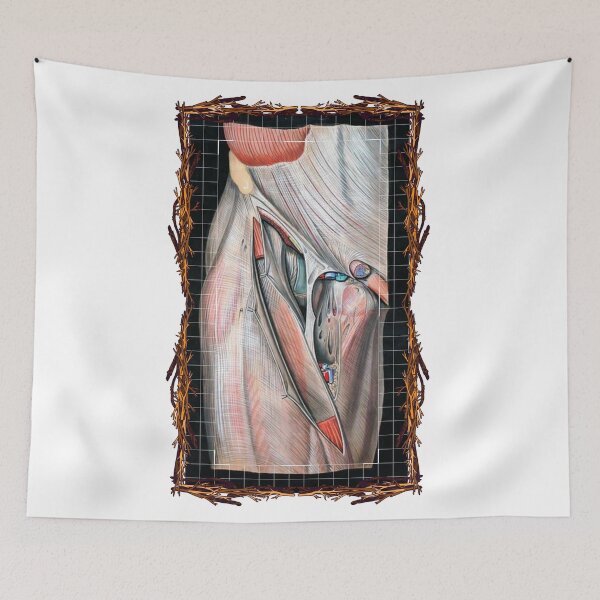 Item preview, Anatomical board Inguinal vascular system - Anatomical designs, human body and anatomy boards designed and sold by AdvanceDesign.