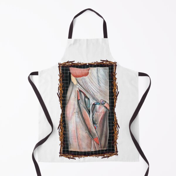 Item preview, Anatomical board Inguinal vascular system - Anatomical designs, human body and anatomy boards designed and sold by AdvanceDesign.