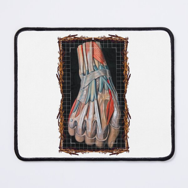 Item preview, Anatomical board Hand - Anatomical designs, human body and anatomy boards designed and sold by AdvanceDesign.