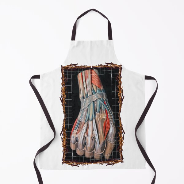 Item preview, Anatomical board Hand - Anatomical designs, human body and anatomy boards designed and sold by AdvanceDesign.