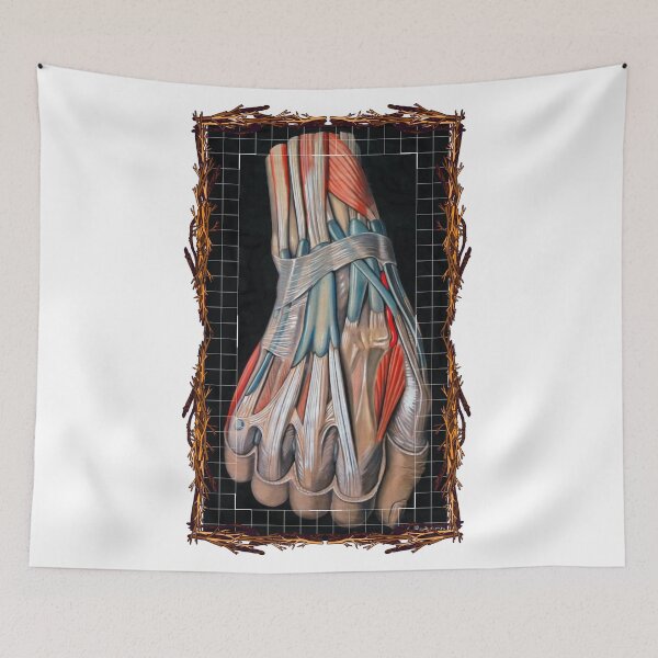 Item preview, Anatomical board Hand - Anatomical designs, human body and anatomy boards designed and sold by AdvanceDesign.