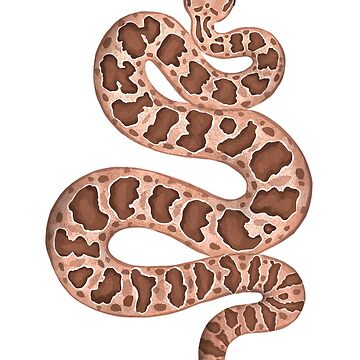 Artwork thumbnail, Hopi Rattlesnake by CatchItCreation