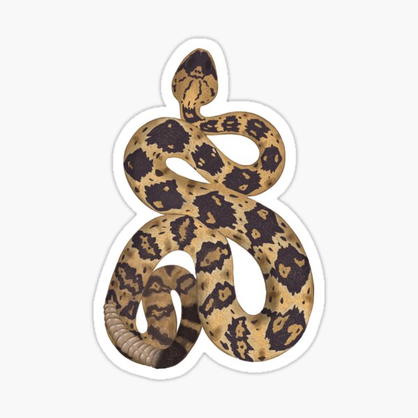 Item preview, Blacktail Rattlesnake designed and sold by CatchItCreation.