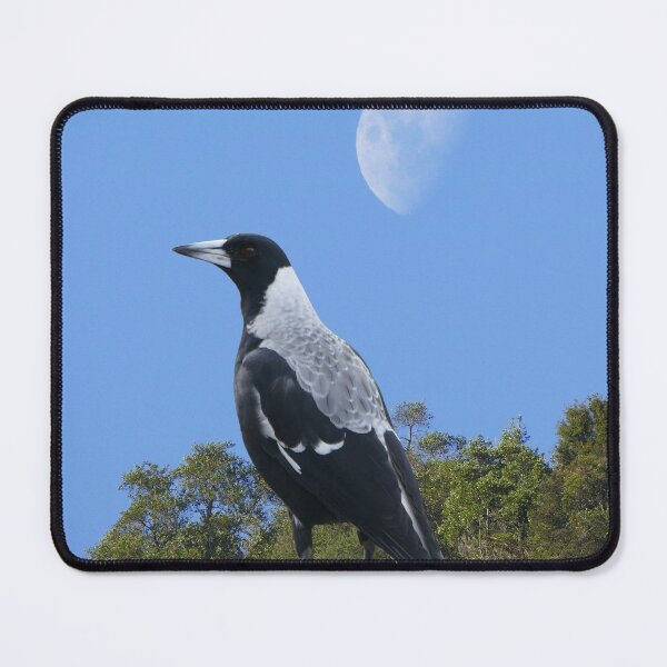 Item preview, Magpie and moon designed and sold by IvaW.