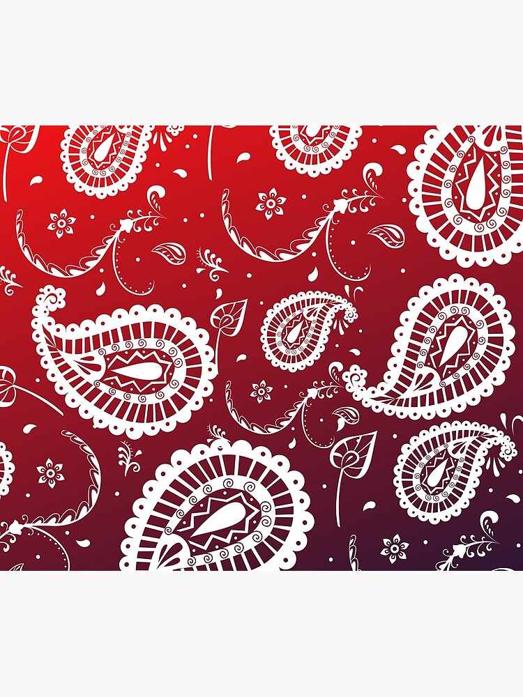 Paisley Passion by alizye