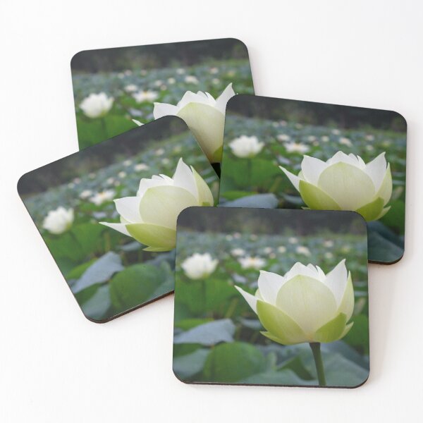 Item preview, White Lotus Flower designed and sold by sinseeho.