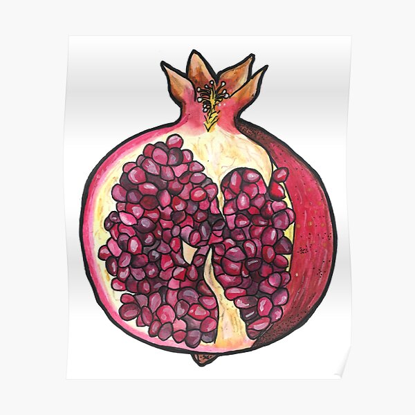 Pomegranate Poster