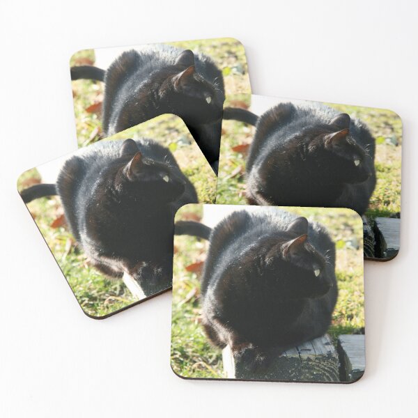 Item preview, Casual Ebony designed and sold by Bill Spengler's Photographic Thoughts.