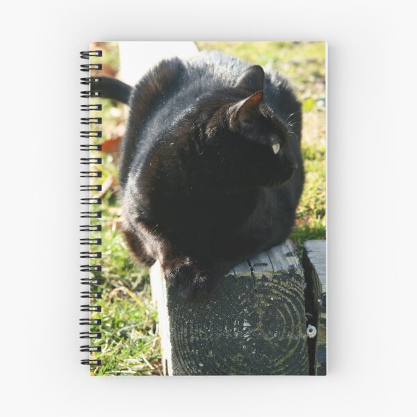 Item preview, Casual Ebony  designed and sold by Bill Spengler's Photographic Thoughts.