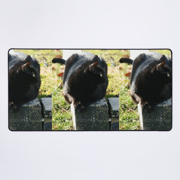 Item preview, Casual Ebony  designed and sold by Bill Spengler's Photographic Thoughts.