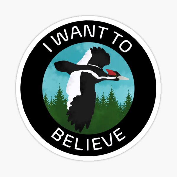 I Want To Believe Ivory-Billed Woodpecker Sticker