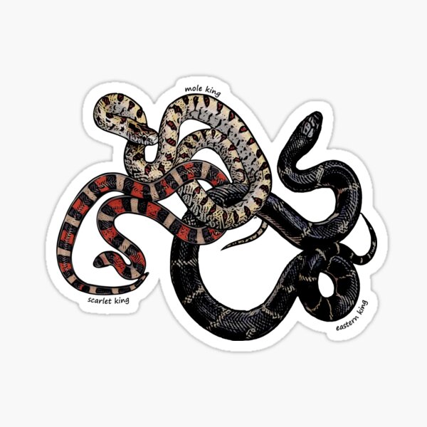 Union "No Snakes" Decal/Sticker Mulitple Sizes FREE SHIPPING!!