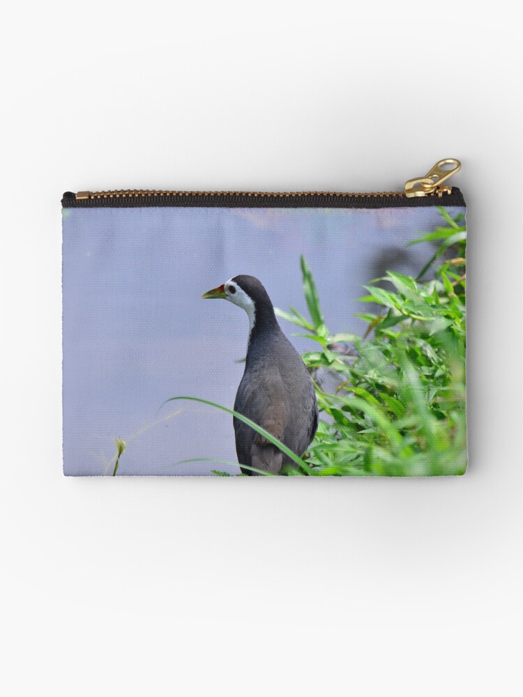 Burung Ayam Ayam Zipper Pouch By Nurulazila Redbubble