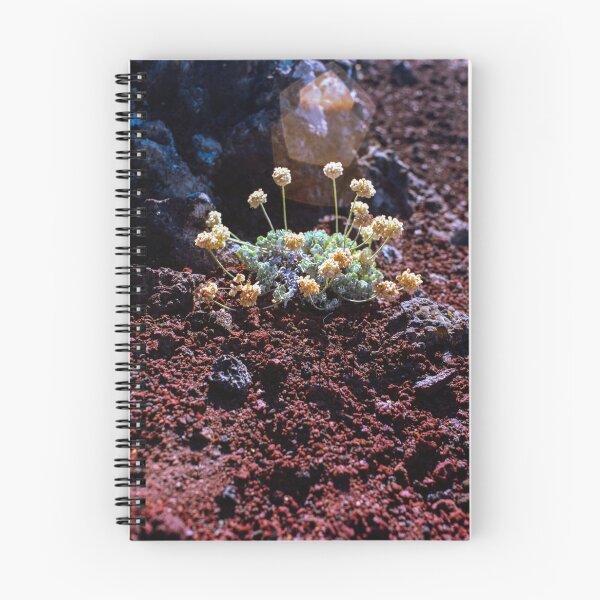 Item preview, Lava Rock Flowers designed and sold by Daniel Regner.