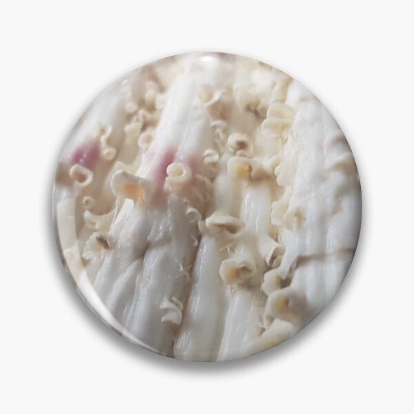 Item preview, Shelly designed and sold by BuskinGalleries.