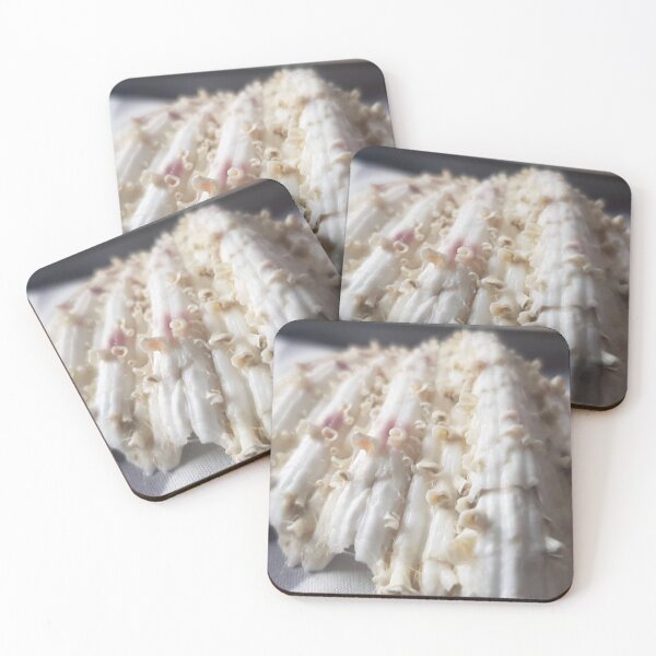 Item preview, Shelly designed and sold by BuskinGalleries.