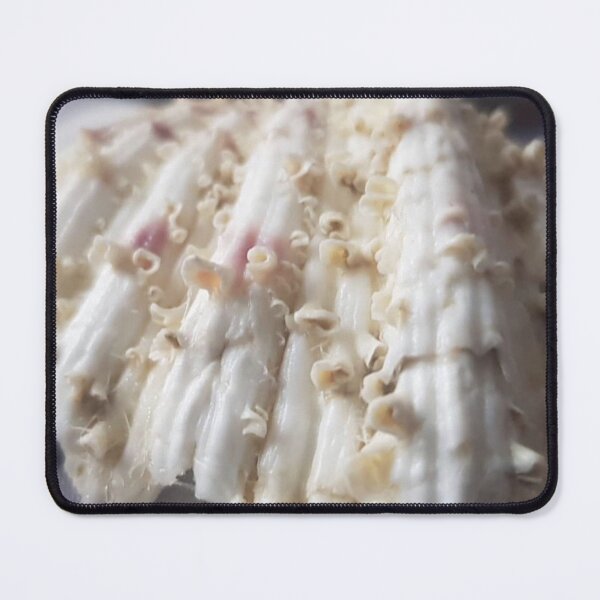 Item preview, Shelly designed and sold by BuskinGalleries.