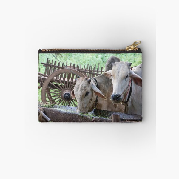 Item preview, feeding designed and sold by Anne Scantlebury.