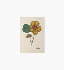 Nasturtium Art Board
