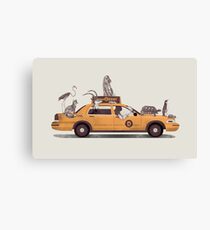 1-800-TAXI-DERMY Canvas Print