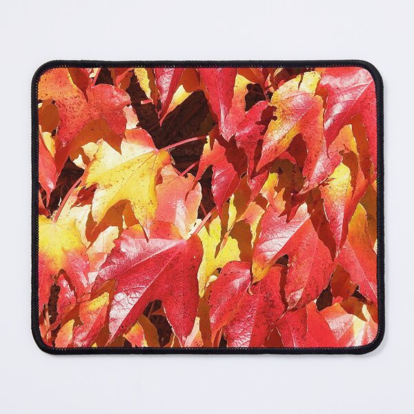 Item preview, Autumn Leaves in the Sunshine designed and sold by TonyMayoArt.