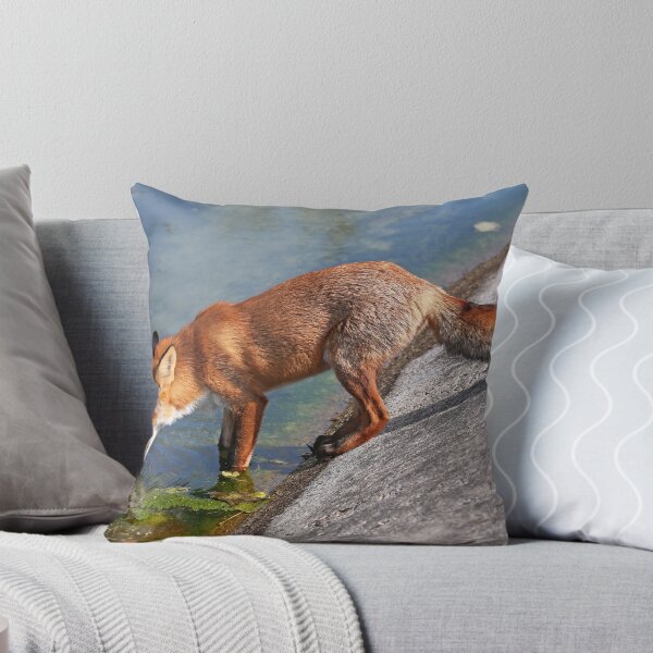 Artikelvorschau, Young Adult Vixen entworfen und verkauft von Robert Abraham.