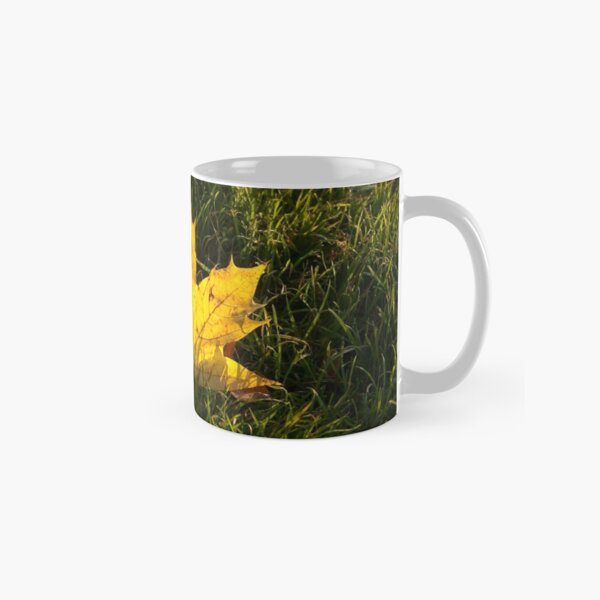 A fallen maple leaf in the sun Classic Mug