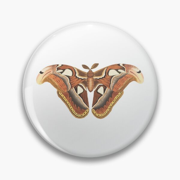 Item preview, Atlas Moth 1789 designed and sold by BelleZeare.