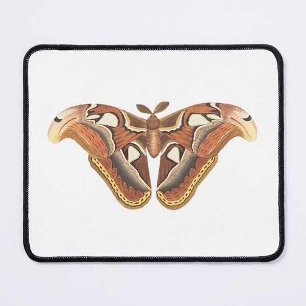Item preview, Atlas Moth 1789 designed and sold by BelleZeare.