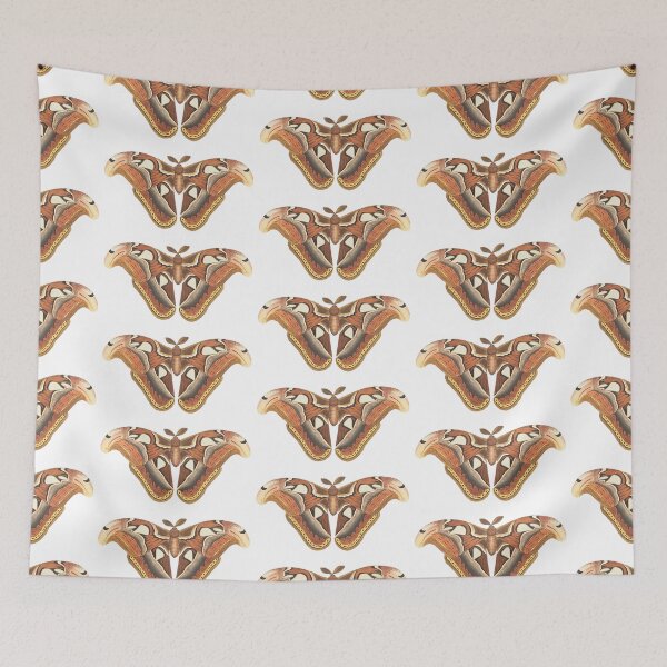 Item preview, Atlas Moth 1789 designed and sold by BelleZeare.