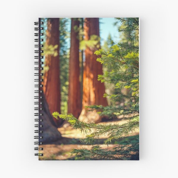 Item preview, Mariposa Grove designed and sold by Daniel Regner.