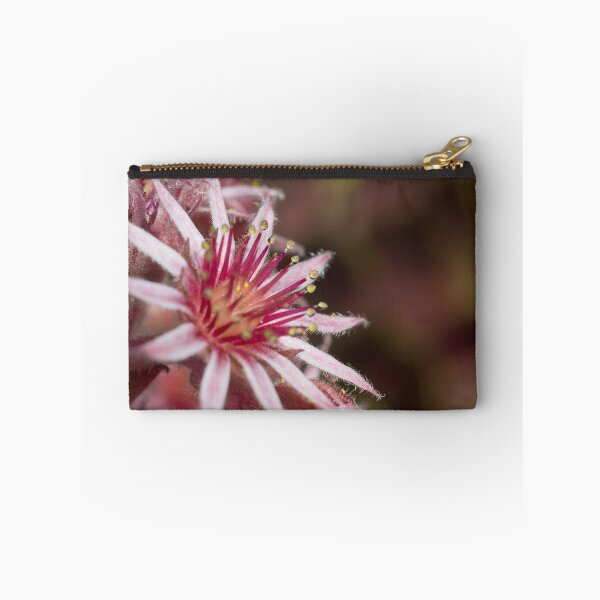 Item preview, House Leek Flower designed and sold by Alex Wagner.