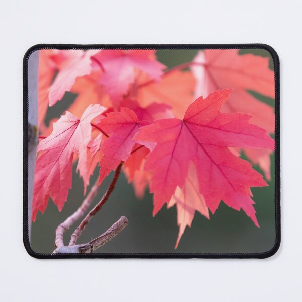 Item preview, A color of Autumn designed and sold by Barry Buchholtz.