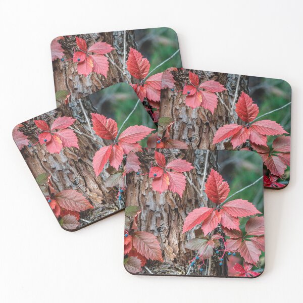 Item preview, Virginia Creeper designed and sold by Barry Buchholtz.