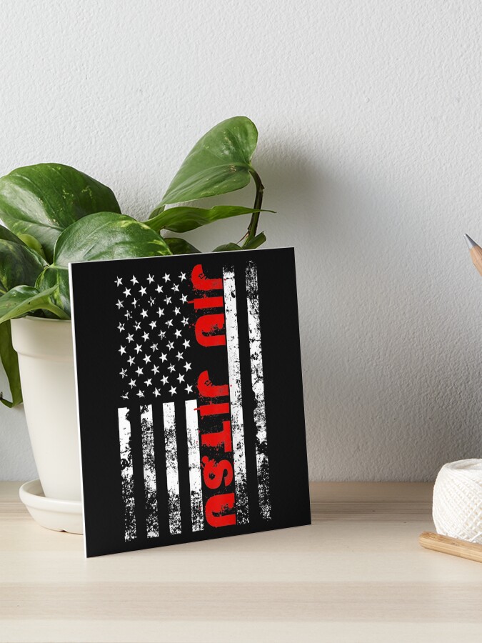 Brazilian Jiu Jitsu American Flag Us Sports T-Shirt